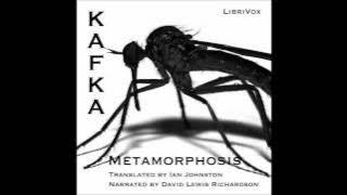 The Metamorphosis by Franz Kafka (Free Audio Book in English Language)