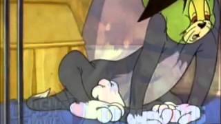 Tom And Jerry 037 Professor Tom 1948