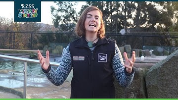 A day in the life of...a Conservation Scientist