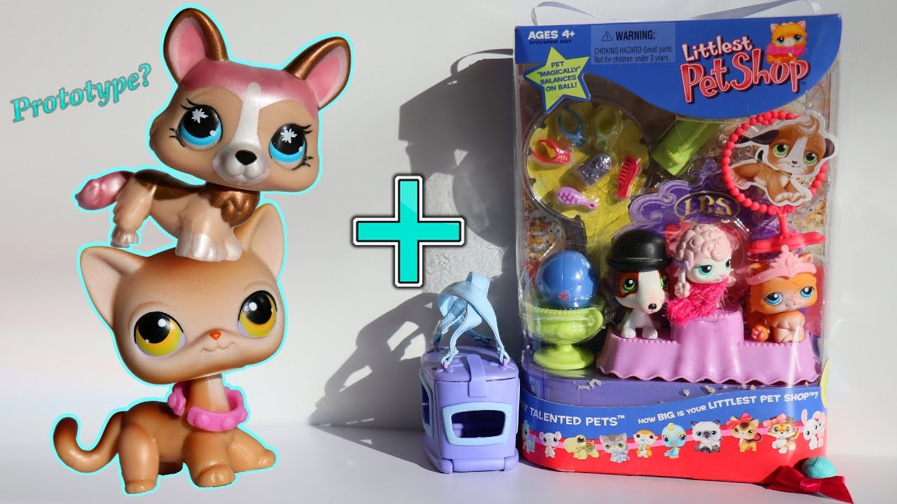 Littlest Pet Shop, Toys, Littlest Pet Shop Musically Talented Blind Bag  New Rare