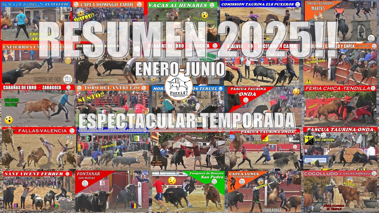 👀ОБЗОР ЯРКИХ МОМЕНТОВ 🎥 ЛУЧШИЕ МОМЕНТЫ / СЕЗОН С ЯНВАРЯ ПО ИЮНЬ 2025 ГОДА💥🚨ПУГАЮЩИЕ И НЕОЖИДАННЫЕ...