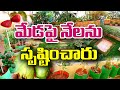       terracegarden health food farming