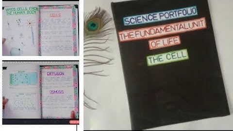 The Cell Portfolio/Class 9th portfolio/project file/The fundamental unit of life portfolio/Science