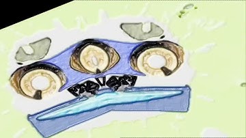 I made Bump Map Effect On Alight Motion & Voicechanger