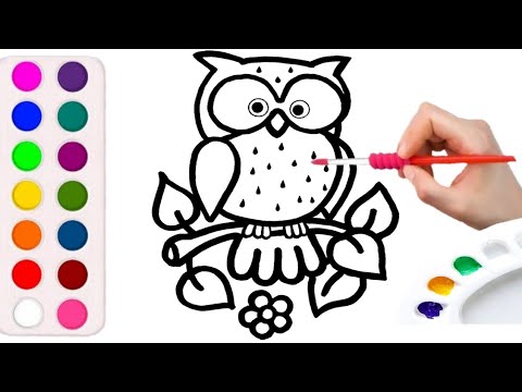 Owl colouring pages