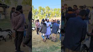 What Slap Did You Give Me, Dad?