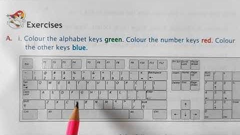 STD 1st Computer Ch-4 The Keyboard Part-2