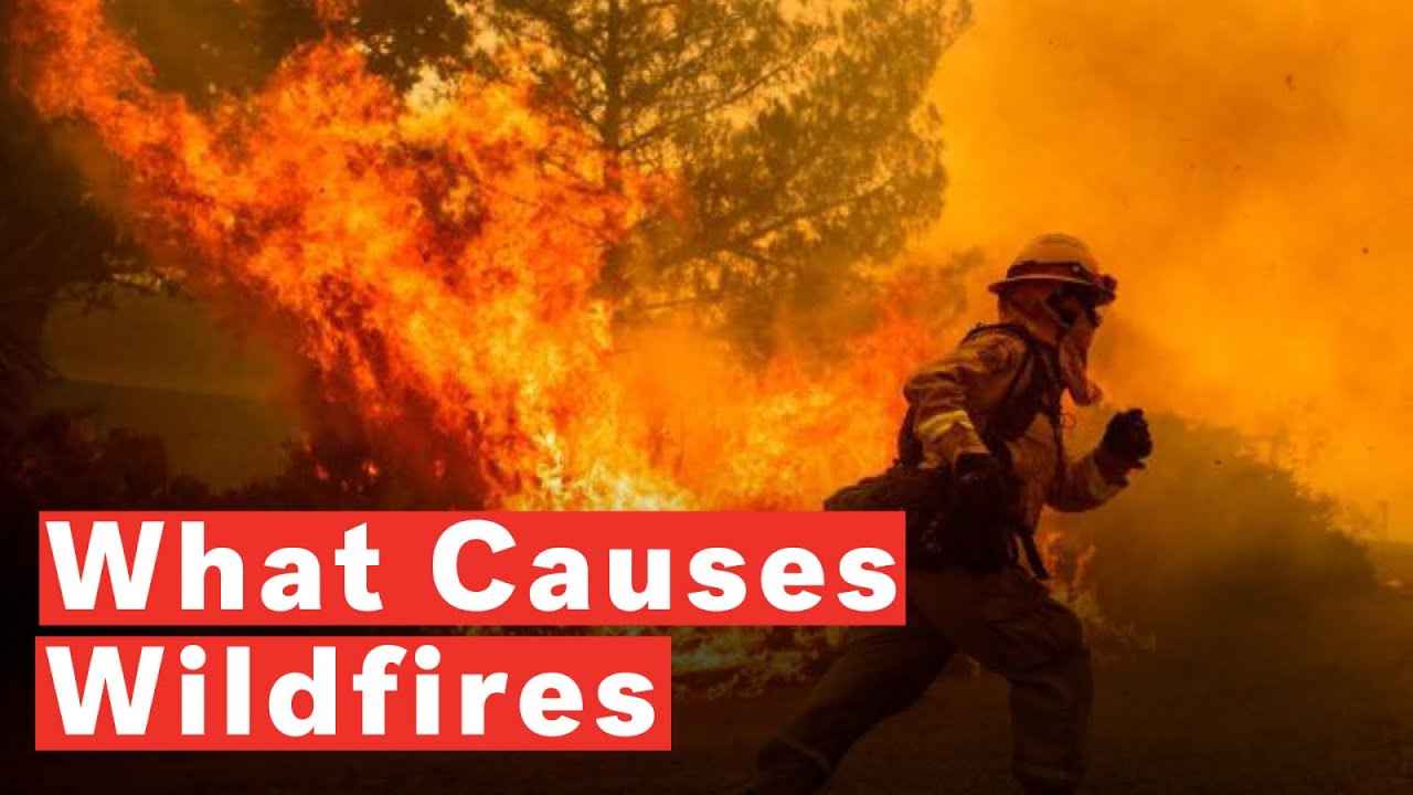 What Causes Wildfires YouTube