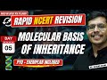 Molecular basis of inheritance  rapid ncert revision 20  neet 2024  dr anand mani