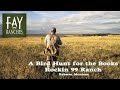 Montana Bird Hunting | Mule Deer Scouting | Rockin 99 Ranch | Roberts, Montana