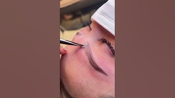 How is Brow Bomber different from eyebrow lamination❓|| My Absolute Beauty