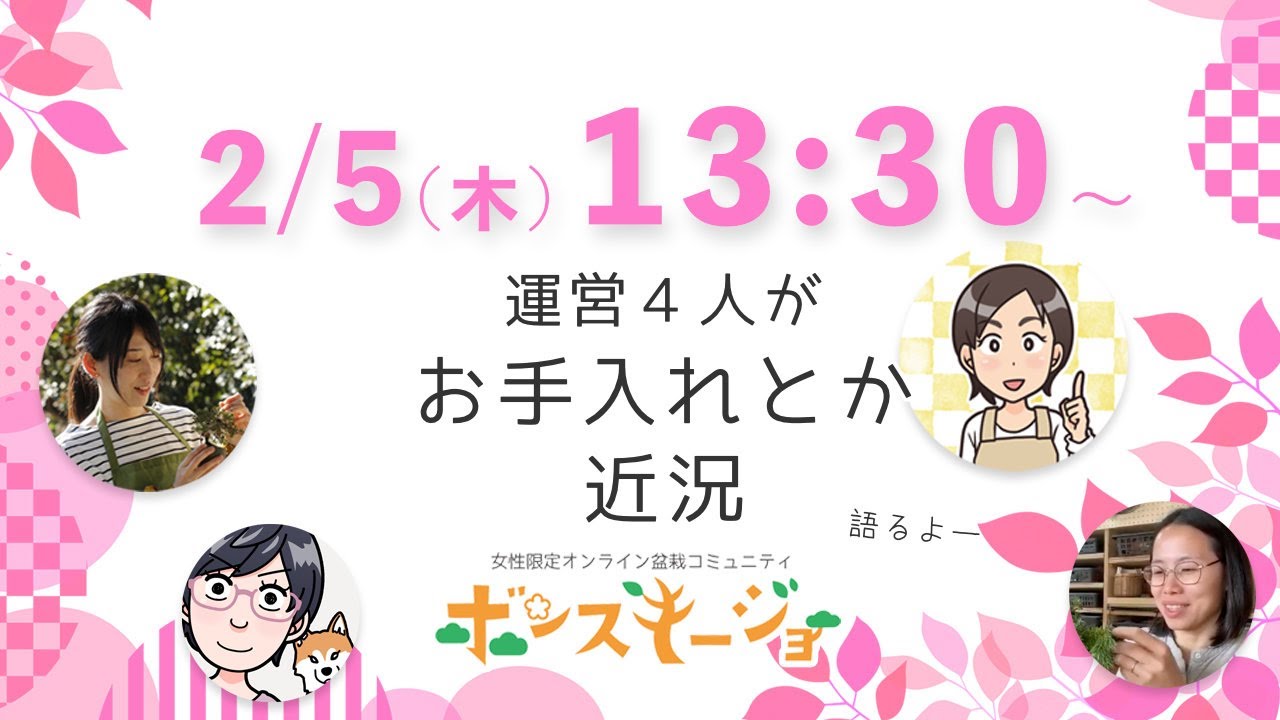 ボンスキージョ運営ライブ配信2026年2月