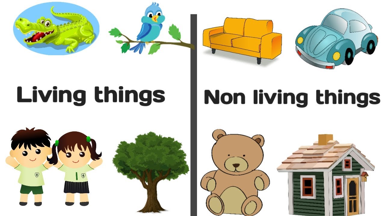 living-things-and-nonliving-things-for-kids-how-to-teach-living-and