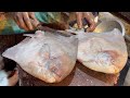 Most Popular Delicious Big Pomfret Fish Cutting Live In Fish Market | Fish Cutting Skills