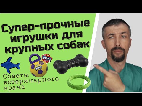 Прочные игрушки для собаки