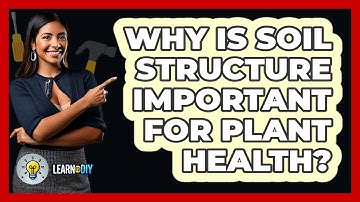 Why Is Soil Structure Important For Plant Health? - LearnToDIY360.com