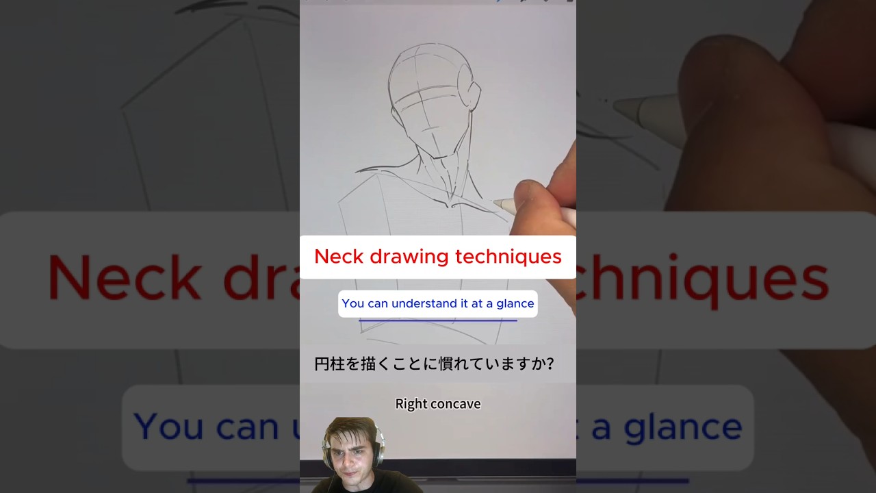 The structure and drawing method of the neck #art #anime #anime #anatomy #drawing