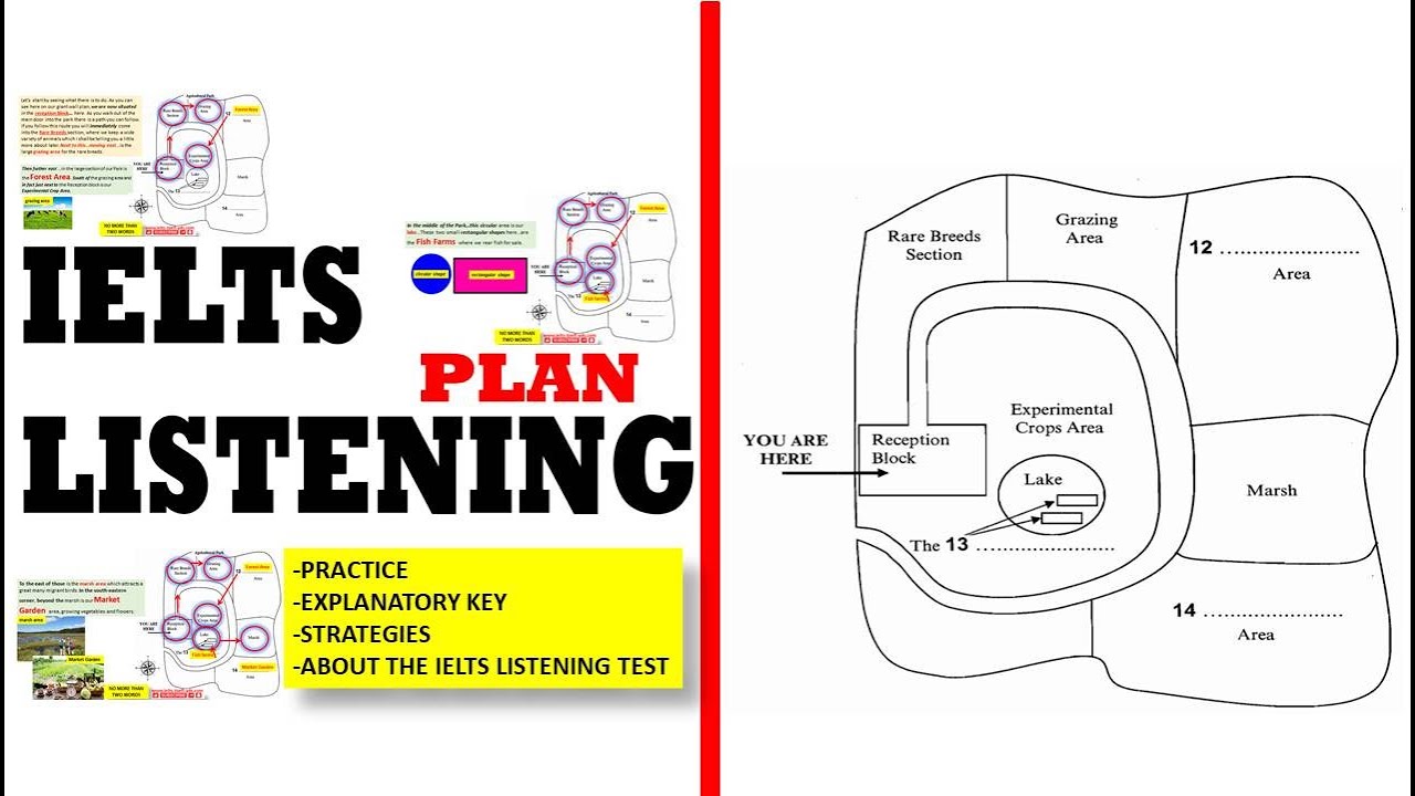 IELTS LISTENING PLAN EXPLANATORY KEY STRATEGIES VOCABULARY - YouTube