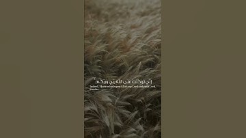سورة هود - اني توكلت على الله ربي وربكم - حالات واتس