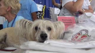 Pet Expo 2016