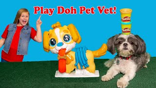 Assistant and Waggles are Play Doh Pet Vets In the Box Fort Tunnels