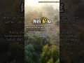 【Indon Eng 中】迷人执物,守我为己