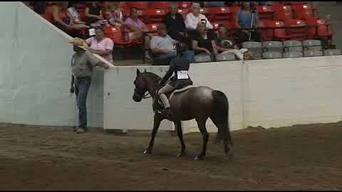 Ohio State Fair : Jr. Horse Show, Over Fences