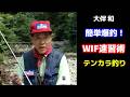 【大伴和】簡単爆釣！WIF速習術【テンカラ釣り】