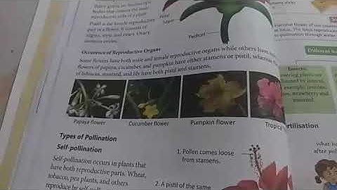 Class 5: science chapter 3(part 3)