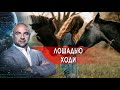 Лошадью ходи. "Как устроен мир" с Тимофеем Баженовым.(27.12.2021).