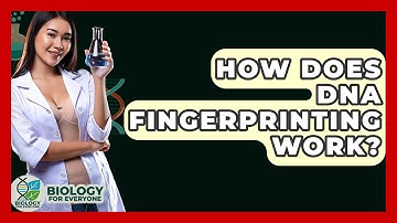 How Does DNA Fingerprinting Work? - Biology For Everyone