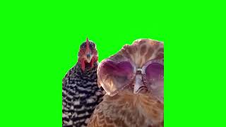 Green Screen Chickens Dancing Meme