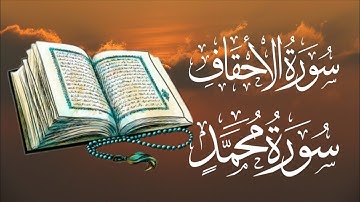 Daily quran surah al ahqaf surah Muhammed سورة الأحقاف سورة محمد  Please support