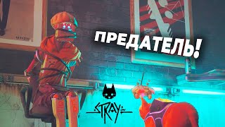 ПРЕДАТЕЛЬСТВО - Stray - №11