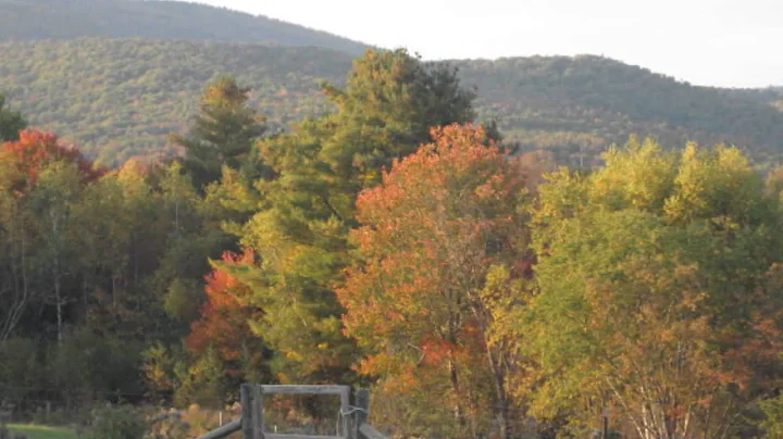 Copy of Keep the Faith Farm, Autumn 2014