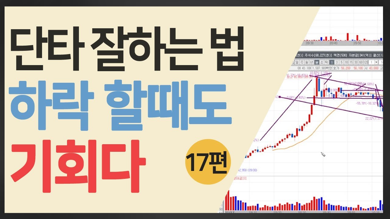 17편 - 하락할때도 기회가 있다 ㅣ주도주 대장주 단타매매 분봉 투매