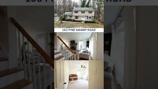 160 PINE SWAMP ROAD ELVERSON, PA 19520