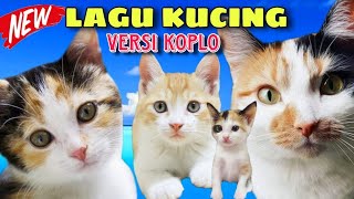 LAGU KUCING MEONG - MEONG ‼️KITTEN CUTE MEOW MEOW‼️ FUNNY CATS AND KITTENS MEOWING