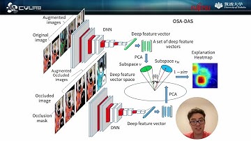 Occlusion Sensitivity Analysis With Augmentation Subspace Perturbation in Deep Feature Space
