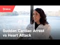 Sudden Cardiac Arrest vs Heart Attack: What is the Difference?