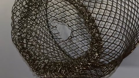 Dollar tree minnow trap!