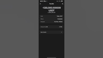 How to flash USDT to any Wallet Spendable for 365 days. Check my bio for info #flashusdt #usdt #eth