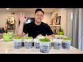 How to Germinate Dragon Fruit Seeds QUICKEST & EASIEST Way