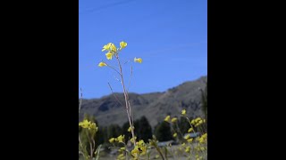 Inauguramos una nueva oficina en El Maitén, Chubut