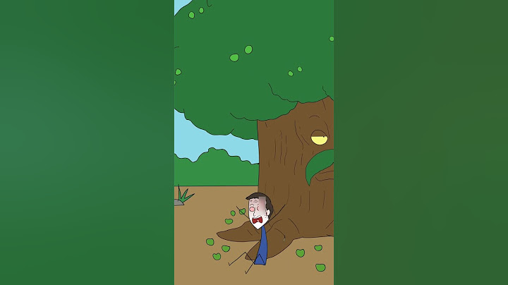Le Mancenilier - L’arbre le plus dangereux au monde !