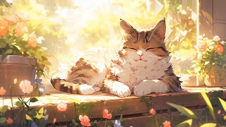 2 Hours Lofi Cat ~ Relax with my cat ☯ Japanese Lofi Mix ☯ chill lo-fi music to relax/study to