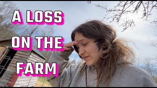 Clean The Goats Barn With Me | Our First Loss On The Farm This Year | Dairy Goats