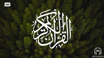 قرآن كريم بصوت سالم الرويلي | حالات واتس اب دينية - سورة البقرة