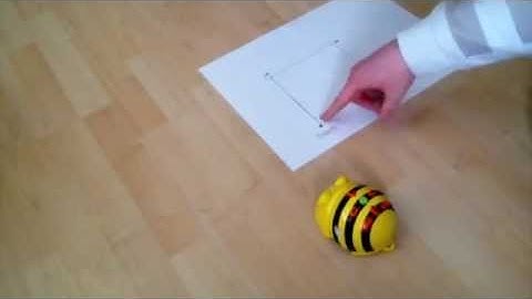 02 Video Clip   Beebot 1