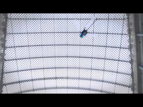 Festo - BionicOpter